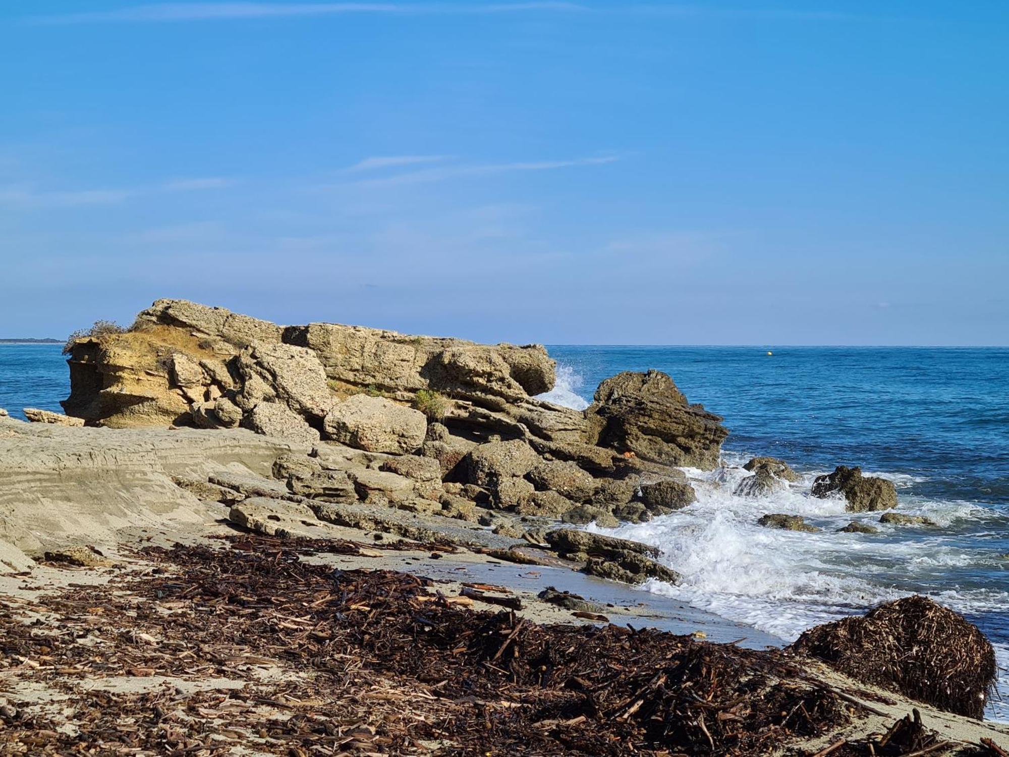 Corse, Residence Marina Di Bravone, Acces Direct Plage Linguizzetta Εξωτερικό φωτογραφία